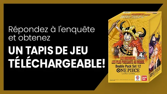 Bannière de l'enquête DP-12
